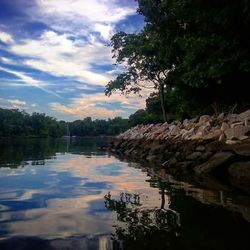 Reflection of trees in lake