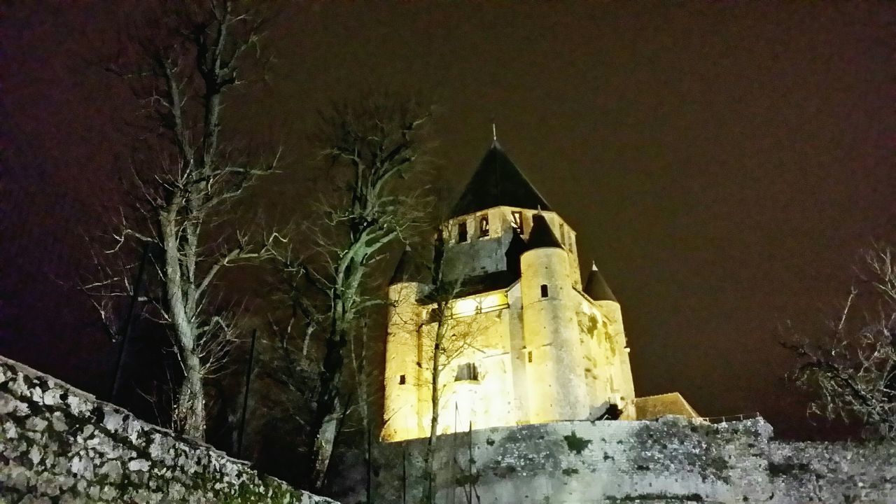 architecture, building exterior, built structure, religion, place of worship, spirituality, church, tree, low angle view, old, cross, history, sky, night, outdoors, cathedral, no people, castle