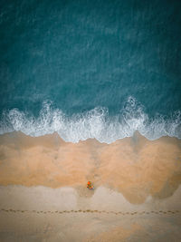 Family picnic at the beach top down view