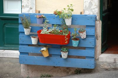Potted plants hanging on wooden structure