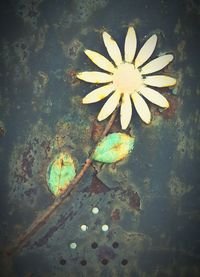 Close-up of flowers