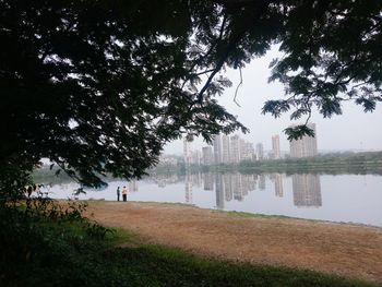 Trees by lake against sky