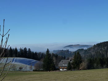 Scenic view of field against clear blue sky