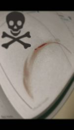 Close-up of pen on paper