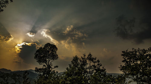 Low angle view of silhouette trees against sky