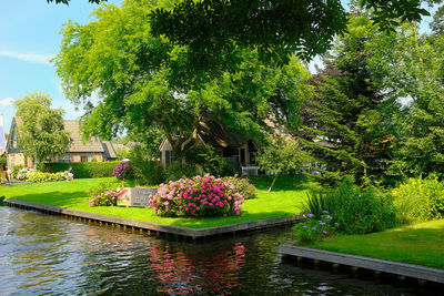 View of plants by swimming pool in park