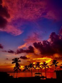 Low angle view of silhouette palm trees against dramatic sky