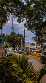 View of city street