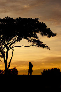 Silhouette man standing by tree against orange sky