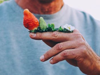 Cropped hand holding food