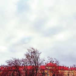 low angle view