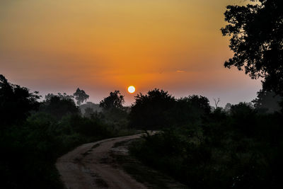 Road amidst silhouette trees against sky during sunset