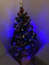 Low angle view of illuminated christmas tree