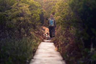 Rear view of woman with dog walking on boardwalk in forest