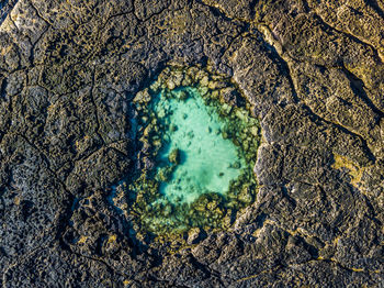 Directly above shot of tidal pool