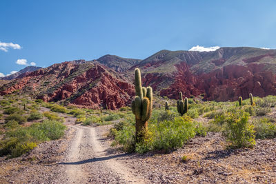 Scenic view of mountains against clear sky