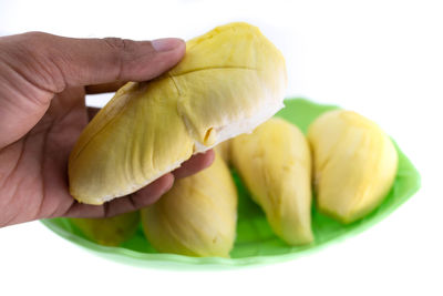 Close-up of hand holding leaf over white background