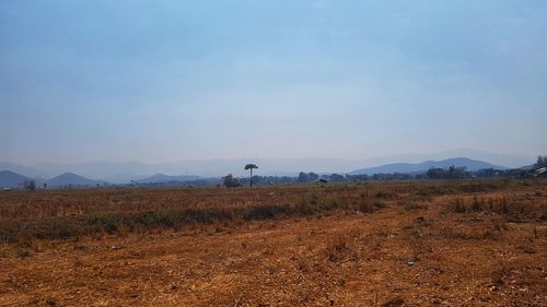 Scenic view of field against sky