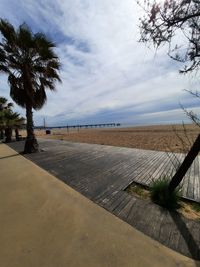 Scenic view of palm trees on beach against sky