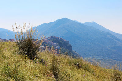 Scenic view of landscape against clear sky