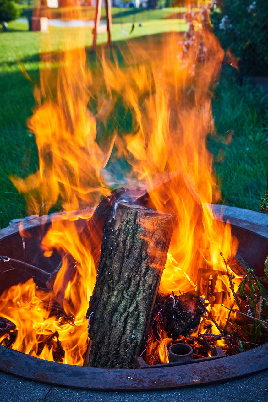 burning, fire, flame, heat, campfire, nature, wood, orange color, bonfire, no people, glowing, day, outdoors, fire pit, log, plant, motion, tree, firewood, camping