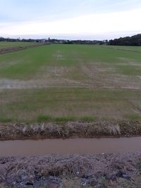Scenic view of field against sky