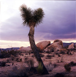 View of rock formation on landscape against sky