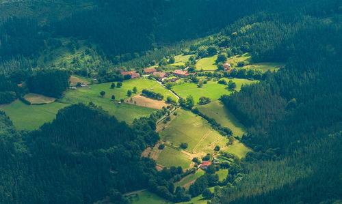 Scenic view of rural landscape