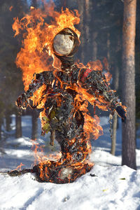 Close-up of fire in winter