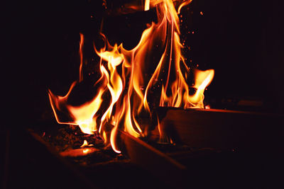 Bonfire at night