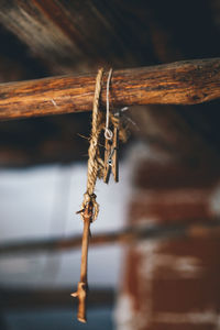 Close-up of rusty wood