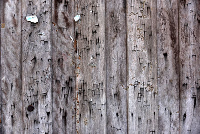 Full frame shot of old wooden wall