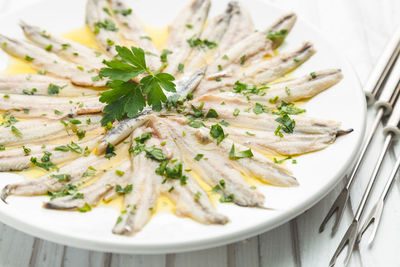 Close-up of meal served in plate