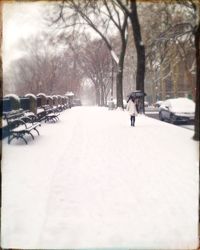 Snow covered road along trees