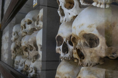 Close-up of human skull