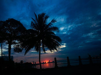 Silhouette palm tree by sea against sky at sunset