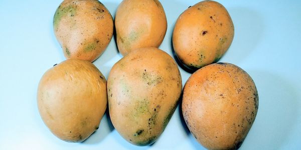 Close-up of oranges on table