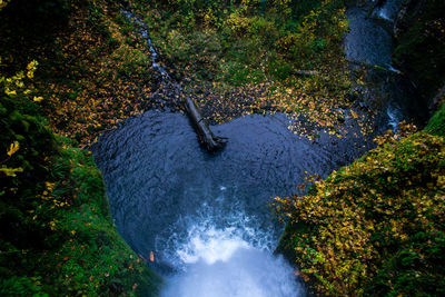 High angle view of water flowing through rocks