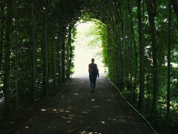 Rear view of woman walking in green tunnel