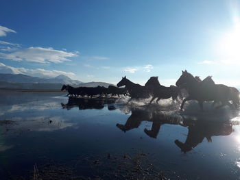 View of birds in lake against sky