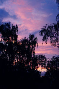 Low angle view of silhouette trees against sky during sunset