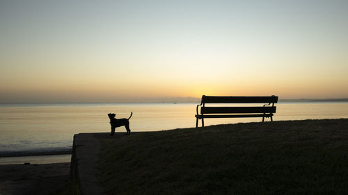 Silhouette man looking at sea against sky during sunset