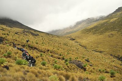 A group of hikers in scenic view of mountain range against sky, mount kenya national park, kenya 