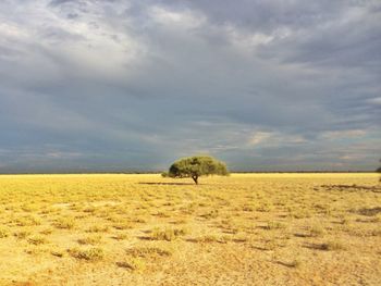 Scenic view of field against cloudy sky