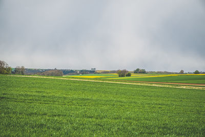 Scenic view of field against cloudy sky