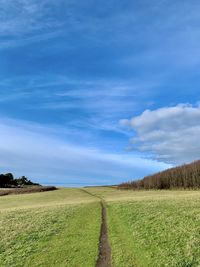 Scenic view of agricultural field against sky