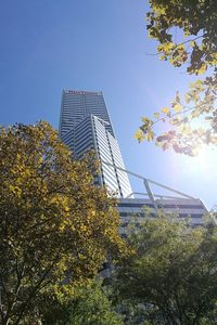 Low angle view of trees against clear sky