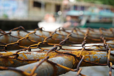 Close-up of rusty metal fence