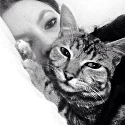 Close-up portrait of cat