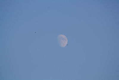 Low angle view of moon against clear blue sky